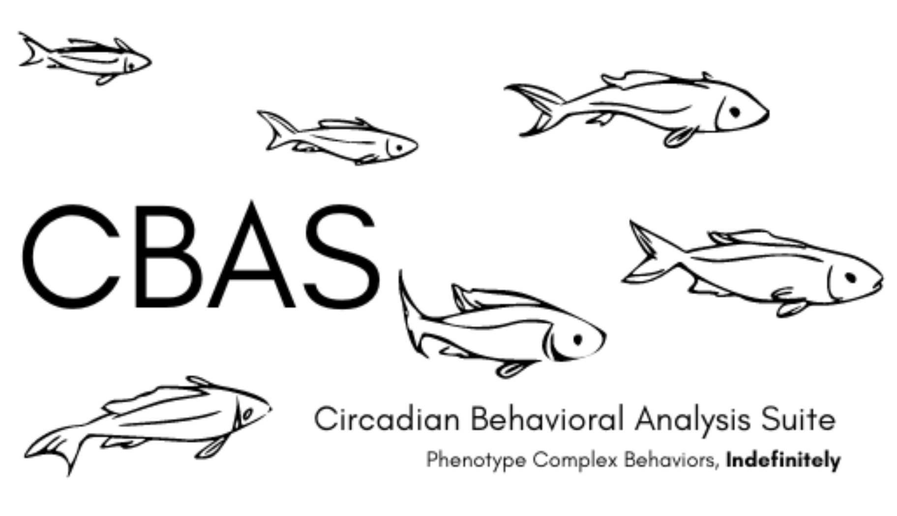 Real-time analysis of circadian rhythms in complex behaviors