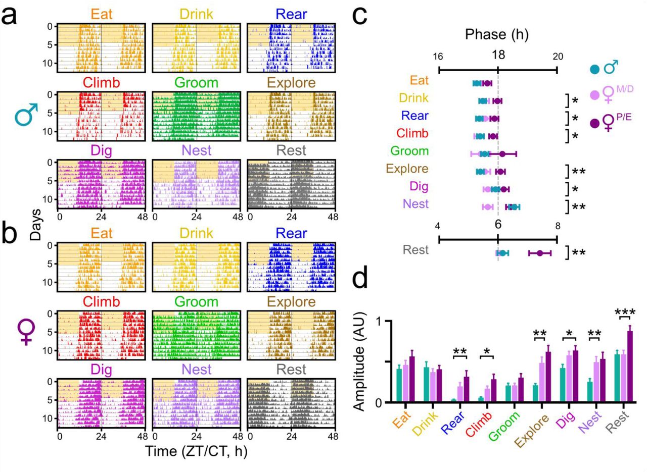 graphical abstract for A circadian behavioral analysis suite for real-time classification of daily rhythms in complex behaviors